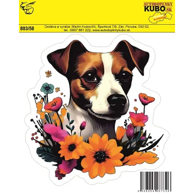 #11677 803_58 Jack Russel