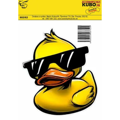 #11862 802_62 Kačička okuliare