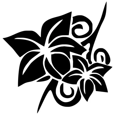 #0917 Orchidea 801 čierna