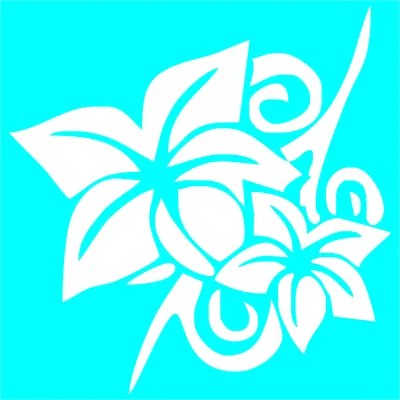 #0920 Orchidea 801 biela