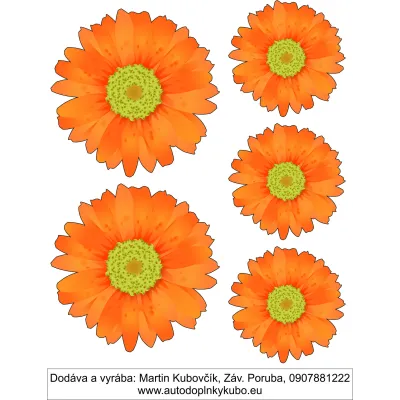 #0544 kvet 1 margaréta